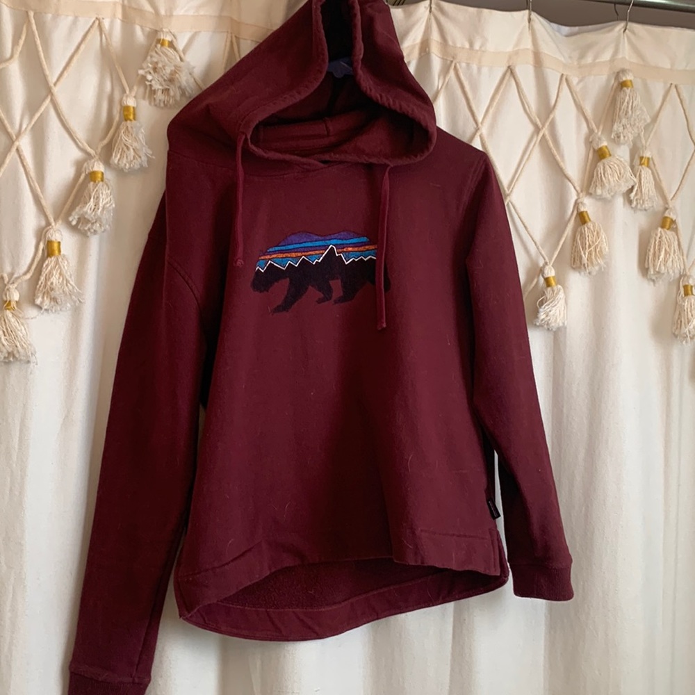 Patagonia size medium regular fit hooded sweatshirt
